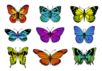 Obraz na płótnie Canvas Collection of colorful butterflies. butterfly set.