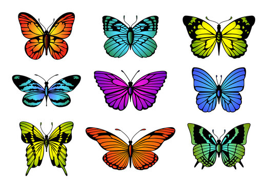 Collection of colorful butterflies. butterfly set.