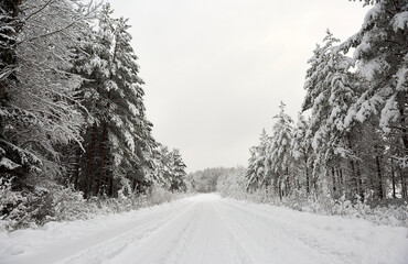 Obraz premium Snow covered Forest Road in Sweden