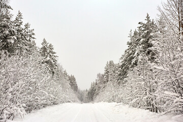 Snow covered Forest Road in Sweden