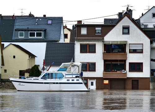 Rheinhochwasser bei Niederwerth