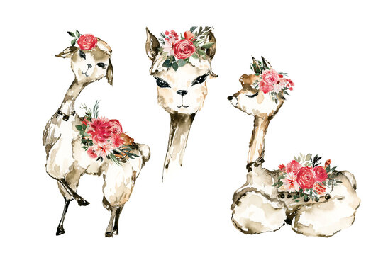 Boho llamas clipart, Watercolor Llama birthday,  love llamas, boho nursery, alpacka llama art print