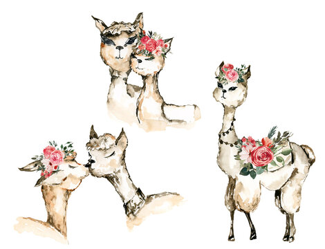 Boho llamas clipart, Watercolor Llama birthday,  love llamas, boho nursery, alpacka llama art print
