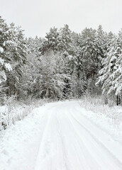 Obraz premium Snow covered Forest Road in Sweden
