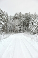 Obraz premium Snow covered Forest Road in Sweden