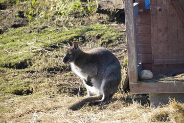 Spaziergang an der Ratzinger Höhe