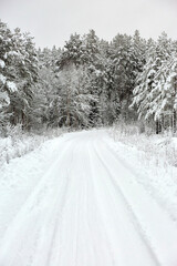 Obraz premium Snow covered Forest Road in Sweden