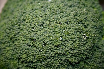 broccoli close up