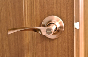 Elegant brown color wooden door surface with gold curved knob and lock