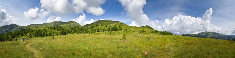 Fototapeta na wymiar Panorama Bergwiese in den Nockbergen / Kärnten