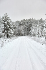 Obraz premium Snow covered Forest Road in Sweden