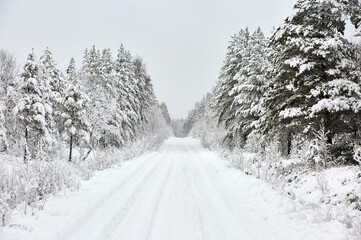 Obraz premium Snow covered Forest Road in Sweden