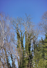 Spaziergang an der Ratzinger Höhe