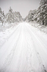 Fototapeta premium Snow covered Forest Road in Sweden