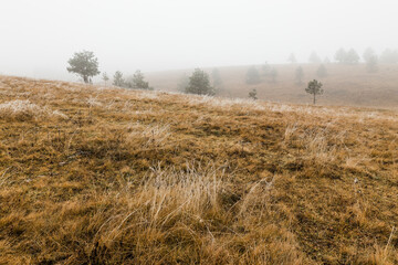 Fototapeta premium View of the beautiful mountain landscape in winter morning
