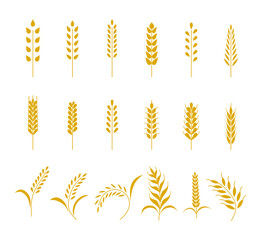 Set of simple wheats ears icons and grain design elements for beer, organic wheats local farm fresh food, bakery themed wheat design, grain, beer elements. illustration - obrazy, fototapety, plakaty