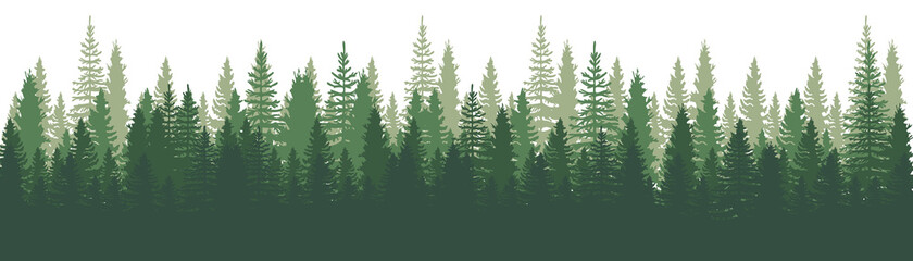 Forest Panorama view. Pines. Spruce nature landscape. Forest background. Set of Pine, Spruce and Christmas Tree on White background. Silhouette forest background. Vector illustration - 408529987