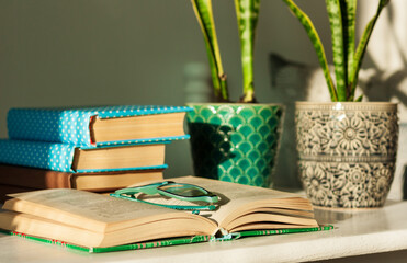 Distance home education: pile of books in colorful covers, glasses, cup of tea and Sansevieria (snake plant) in ceramic pots on a white table on the background of a bed with decorative pillows