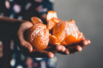 ripe tangerines. children holds tangerines with green leaves just plucked from a tree PNOV2019 - 408530387