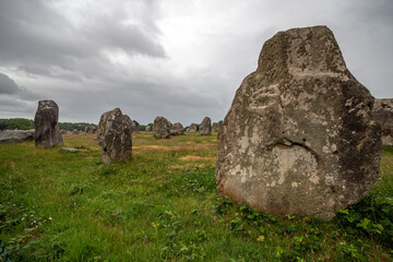 Menhirs of Carnac in field of brittany, france