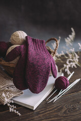 A pair of hand knitted mittens with yarn balls and knitting neddles.