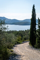 Fototapeta na wymiar Path in the countryside, Island of Iz, Zadar archipelago, Dalmatia, Croatia