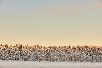 Lake winter nature landscape at sunset