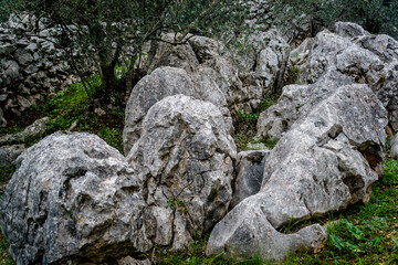 Limestone rocks, Island of Iz, Zadar archipelago, Dalmatia, Croatia