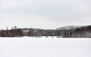 winter landscape with snow
