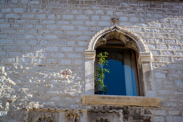 Venetian Gothic window with a pot-plant, Zadar, Dalmatia, Croatia