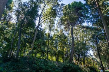 The Park of Vladimir Nazor, green space just outside the Old Town walls, Zadar, Dalmatia, Croatia