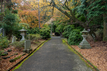 奈良県 吉野山の秋と紅葉景色