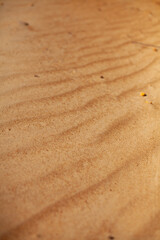 vertical photo. light yellow sand. wind waves in the sand. summer time. sunny day. patterns in the sand in the form of waves. hot day.