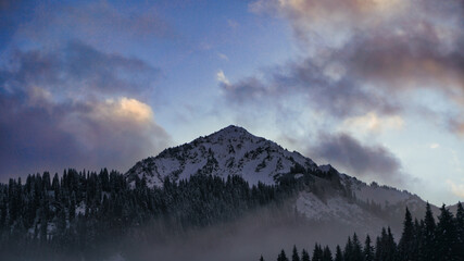 Fototapeta na wymiar bewaldeter Berggipfel mit dramatischem Himmel