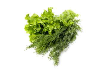 Variety fresh organic herbs. Fresh greens dill and lettuce leaves.