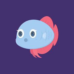 vector character of blue and red betta fish. the surprised expression of a betta fish. fish are funny, cute, and adorable. flat style. design elements. can be used for mascot logos and stickers
