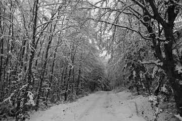 Winter Wonderland in Germany with snow