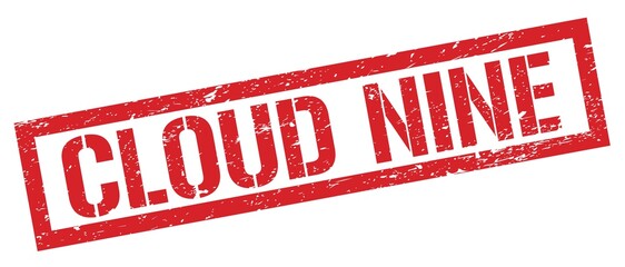 CLOUD NINE red grungy rectangle stamp.