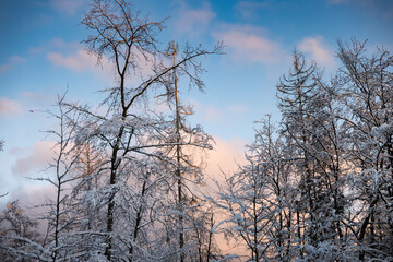 Winter Wonderland in Germany with snow