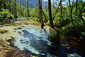 Fototapeta premium 信州 上高地 夏景色