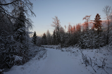 Winter Wonderland in Germany with snow