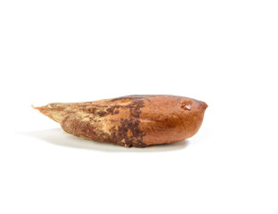 brown date stone isolated on white background