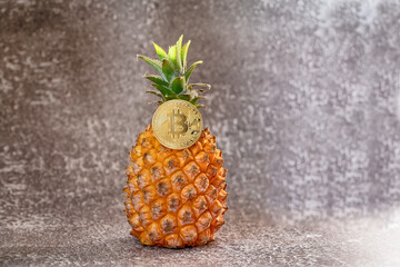 The bitcoin cryptocurrency coin is placed on top of the pineapple.