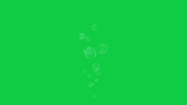 green screen soap bubbles loop animation, water bubbles flying,transparent bubbles,png video,random bubble motion,aquarium and underwater bubbles