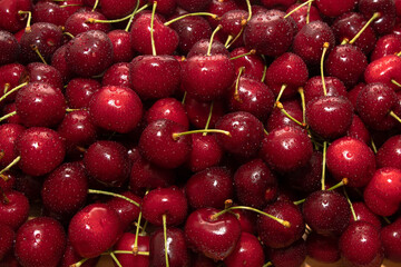 lots of ripe red cherry berries background image red background with close-up