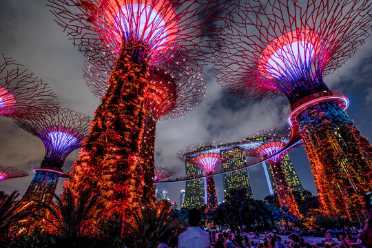 Singapore - April 30, 2018: Garden Rhapsody light and sound shows on Supertree Grove with OCBC Skyway at Gardens by the Bay. Marina Bay Sands on background. Popular tourist attraction. Red lighting.