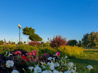 Summer evening. Volga embankment is the pearl of Yaroslavl. Park on the Arrow
