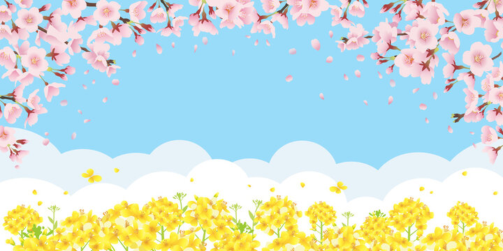 桜と菜の花畑 青空バックの背景イラスト 横長 2 1比率 Stock Vector Adobe Stock