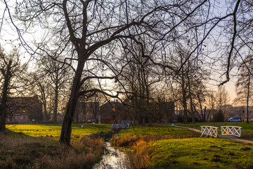 sunset in the park