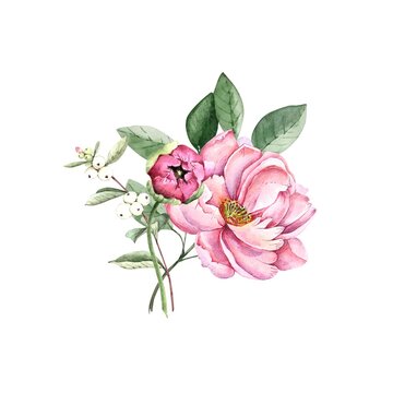 delicate bouquet with flowers pink peonies watercolor illustration on a white background. hand painted for wedding invitations, decor and design